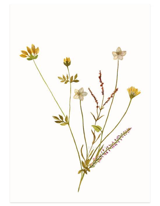 Kaart - Eilandbloemen Oker