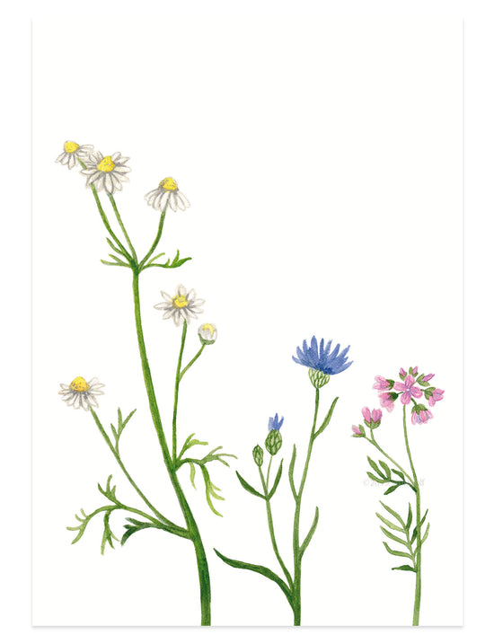 Kaart - Wilde Bloemen