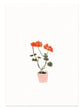 Kaart - Geranium