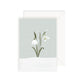 Kaart - Snowdrop