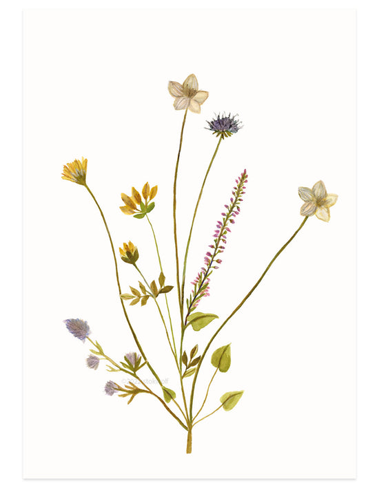 Card - Island Flowers Lilac