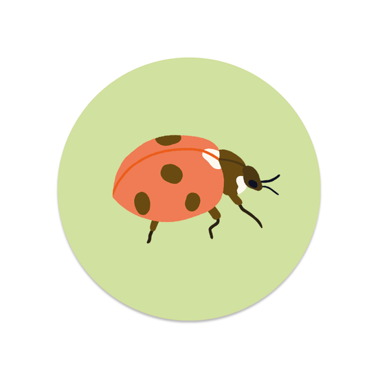 Round sticker - Ladybug