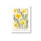Card - Daffodil