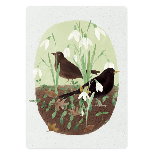 Card - Snowdrops and Blackbirds