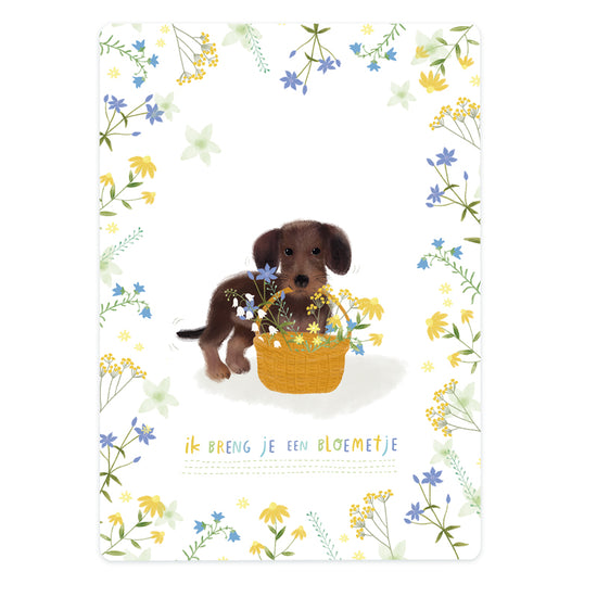 Card - Dachshund with Flowers